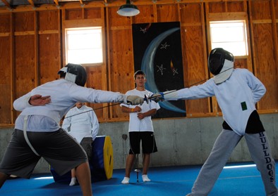 fencing